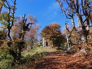 Roccoli del Crosnello-verso Castel Regina-Pizzo Cerro da Catremerio-8nov23  - FOTOGALLERY